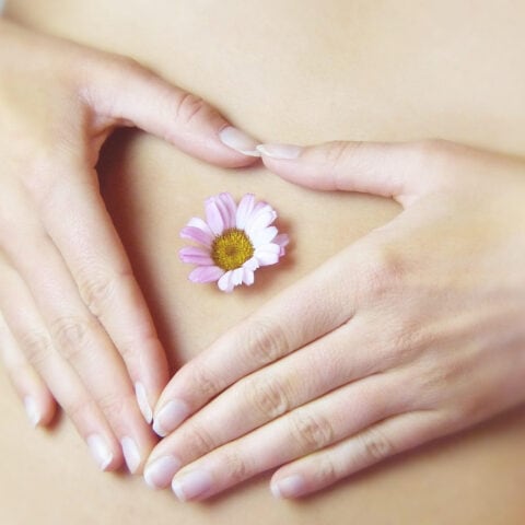 Ayurveda Onlinekurs Darmgesundheit